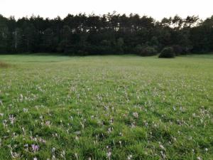 IMG_20170922_182400 (1024x768)